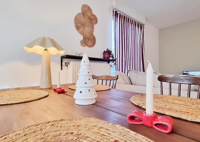 Le Cocon Du Koenigsbourg Parking Appartement Colmar