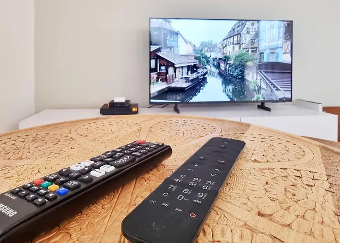 Le Cocon Du Koenigsbourg Parking Appartement